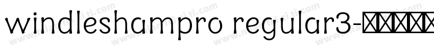 windleshampro regular3字体转换